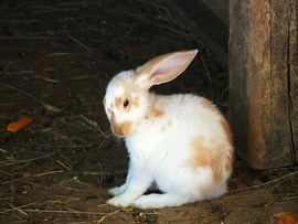 Ilyen időben semmihez sincs kedve 