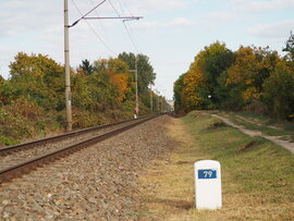 elter fotója
