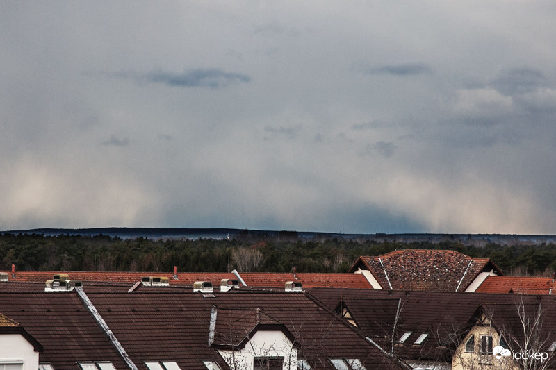 nyugati hózápor galambokkal