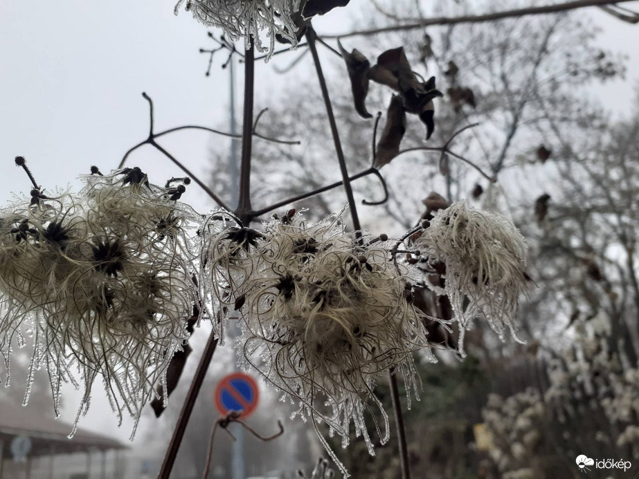 01.02