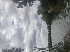 Cofete