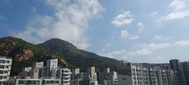 불광동