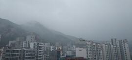 불광동