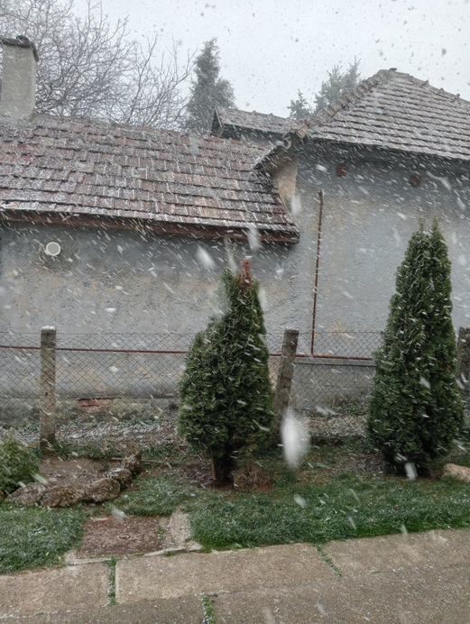 Szárliget