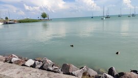 Balatonalmádi 