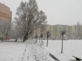 Sopron