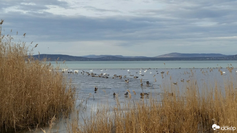 Ordacsehi