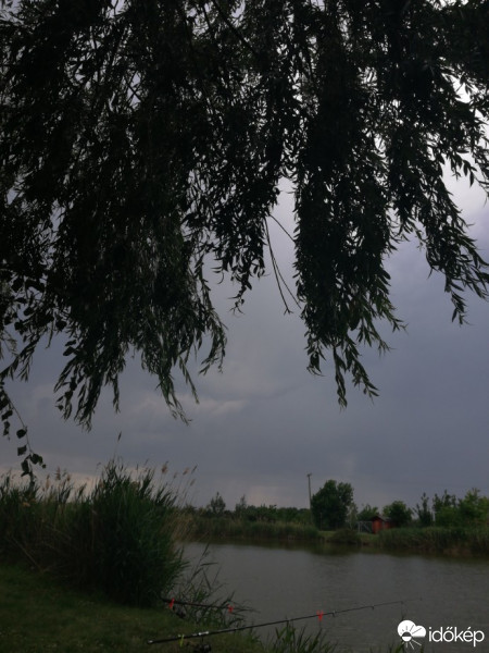 Bucsa