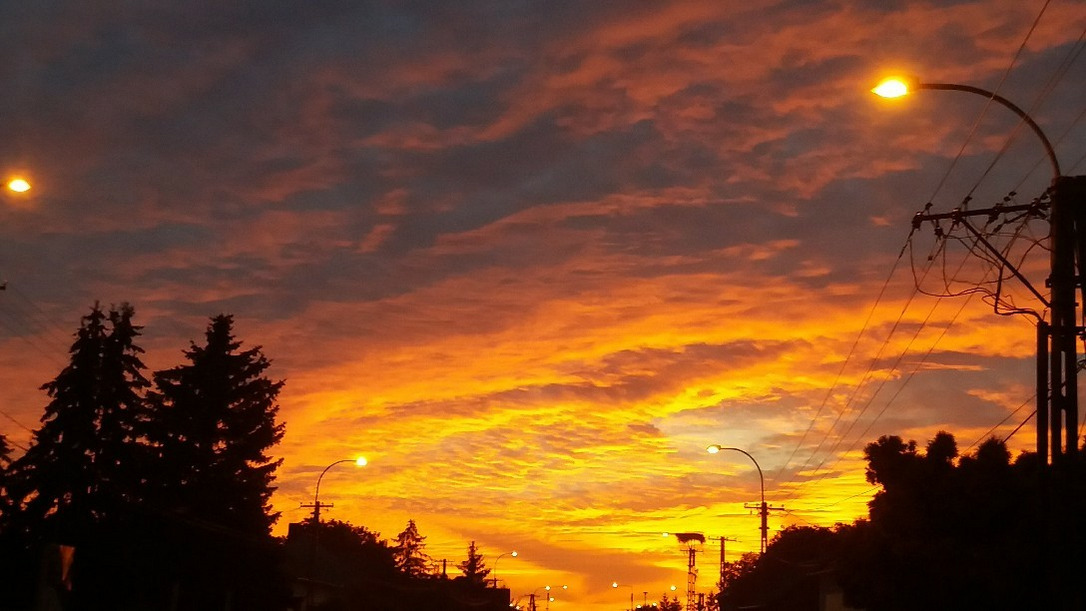 Kacsóta