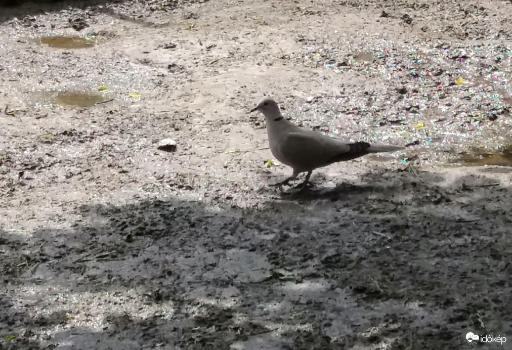 Egy szelfit kérek.... :)