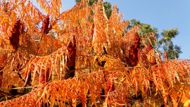 erikakacsota123 fotója