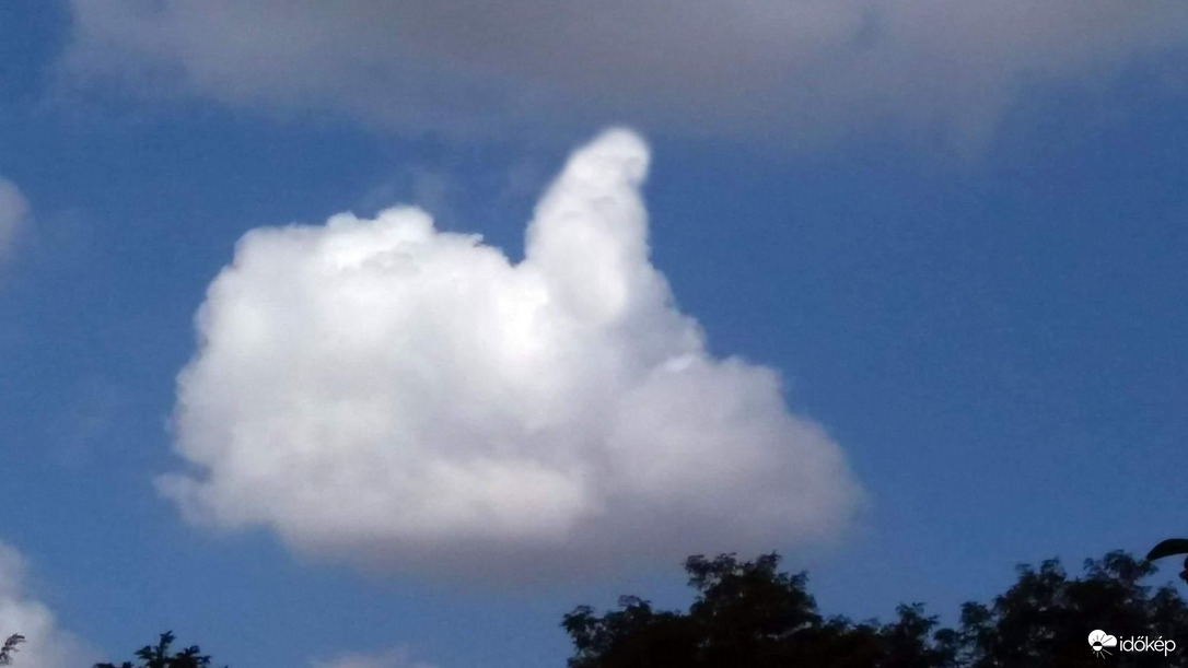 Jó idő van ma... :)