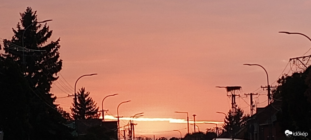 Kacsóta