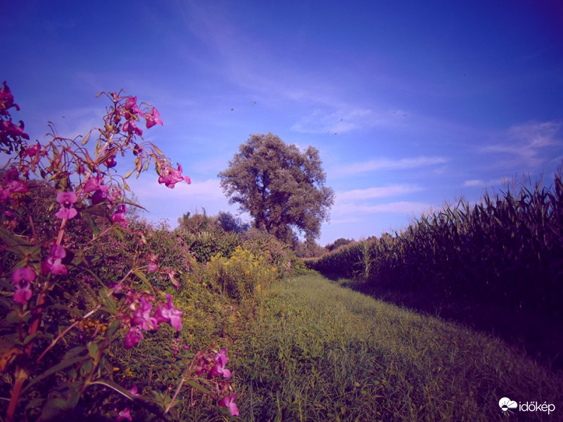 A Rába völgye,nyáron