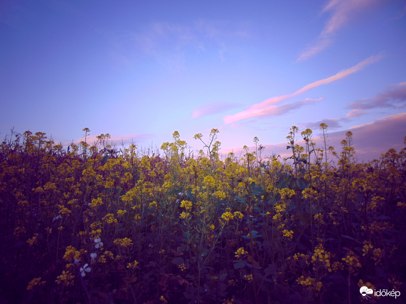 A békés természet