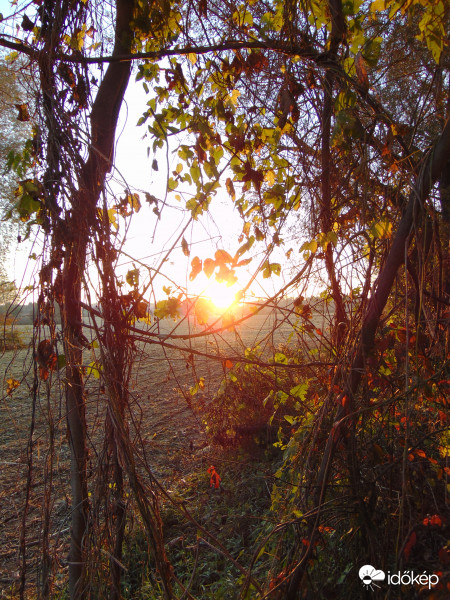 Kora esti dzsungel fíling a Rába parton :)