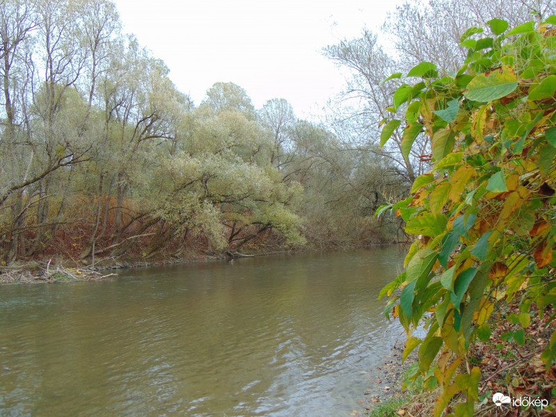 A Rába,Szentgotthárd-Rábakethelyi szakaszon 