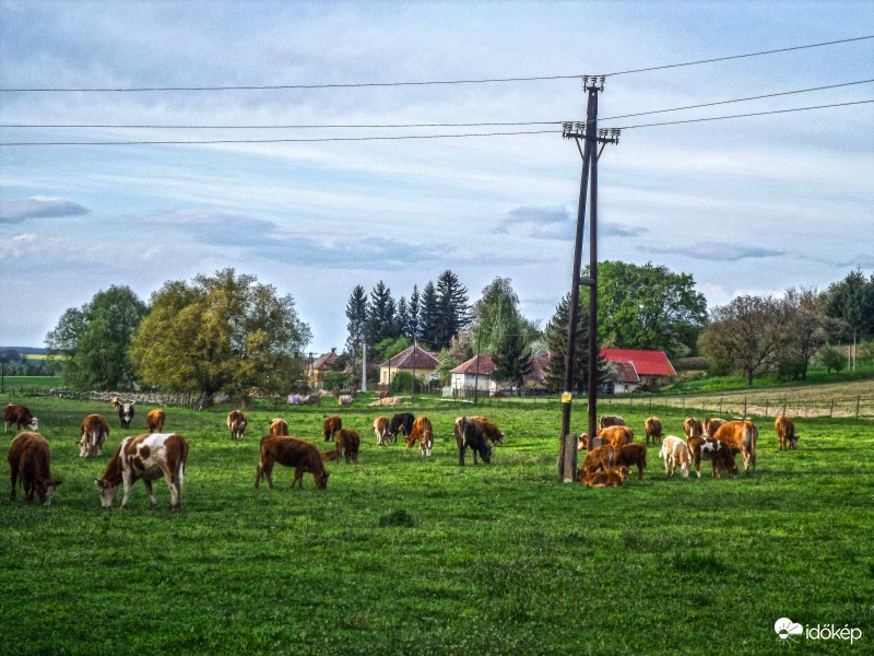 Dötk