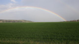 Mužla
