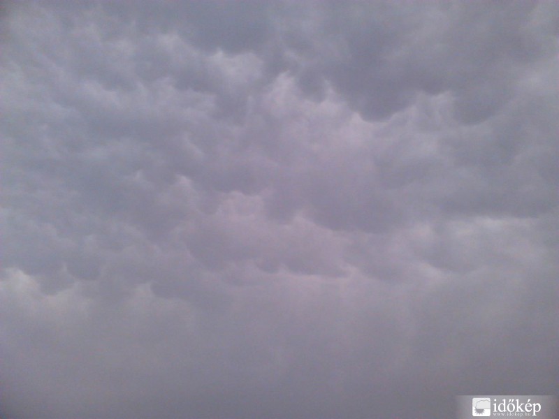 Mammatus