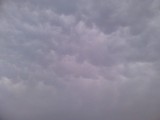 Mammatus