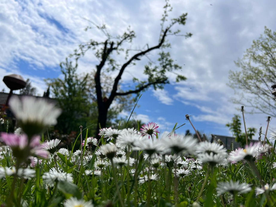 Szigetbecse