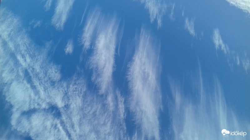 Reggeli ecsetvonások 1. :)