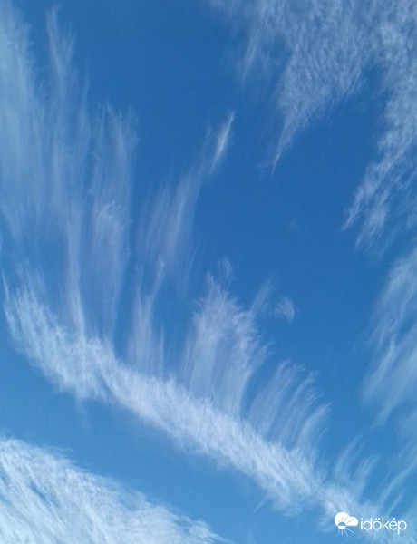 Reggeli ecsetvonások 2. :)