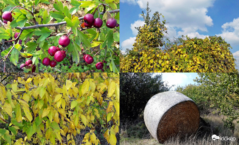 Összefoglaló egy szép őszi napról :)