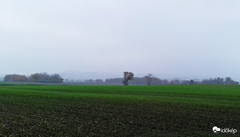 Egy ködös őszi napon