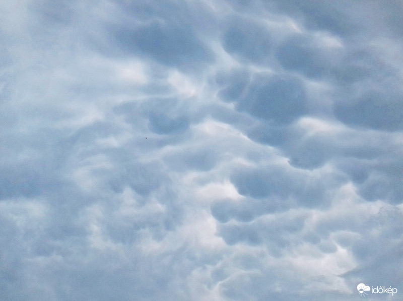 Mammatus felhő