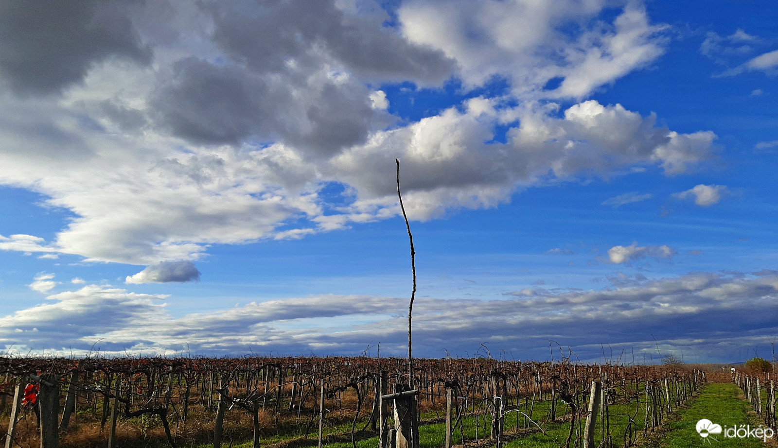 Novemberi életkép falun 1. :)
