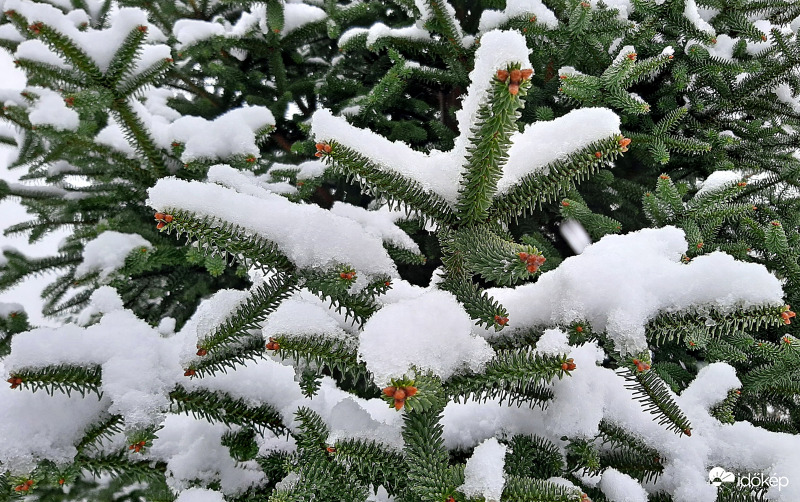 Visszaemlékezés a havazásra... :)