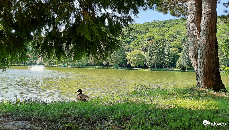 Csónakázó-tó - Kőszeg 2. :)