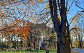 Erzsébet-kerti nyugalom őszi napsütésben :)