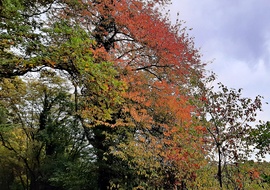 Beindult a színesedés 2. :)