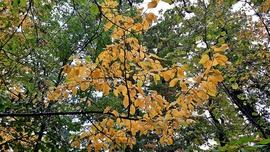 Beindult a színesedés 3. :)