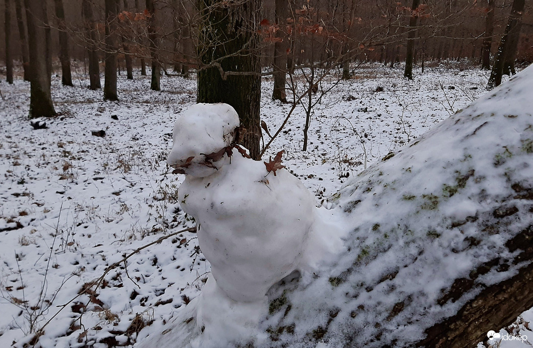 Meglepetés hóemberke kidőlt fatörzsön :)