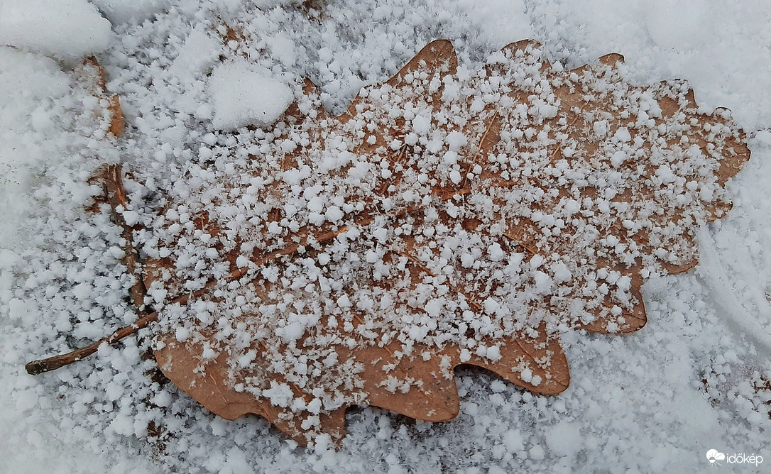 Téli hangulat a Soproni Parkerdőben 2. :)