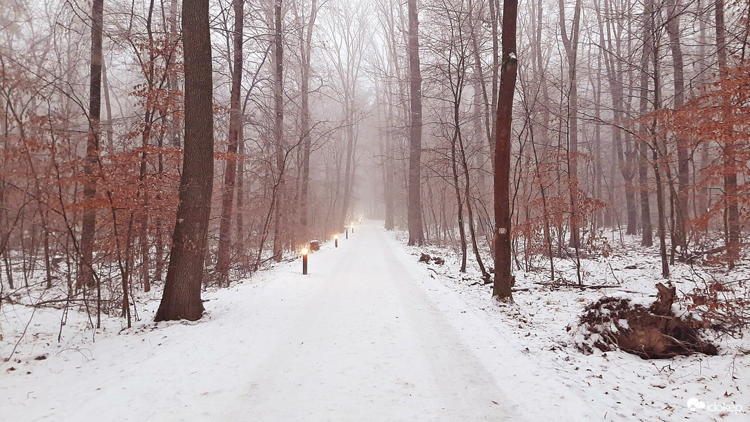 Kis lámpások vezetnek a ködös "végtelenbe"... :)