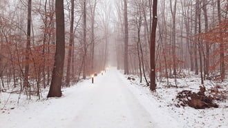 Kis lámpások vezetnek a ködös 