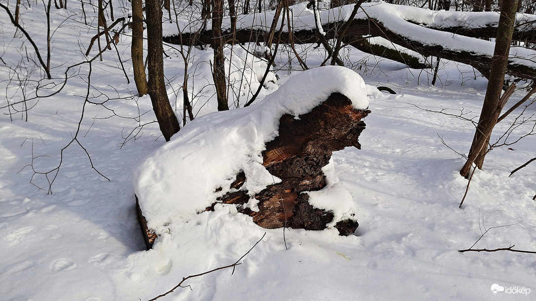 Közel 30 cm hó a Soproni Parkerdőben 1. :)