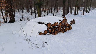 Közel 30 cm hó a Soproni Parkerdőben 5. :)