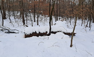 Közel 30 cm hó a Soproni Parkerdőben 6. :)