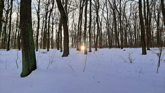 Egy tél végi naplemente a Soproni Parkerdőben :)