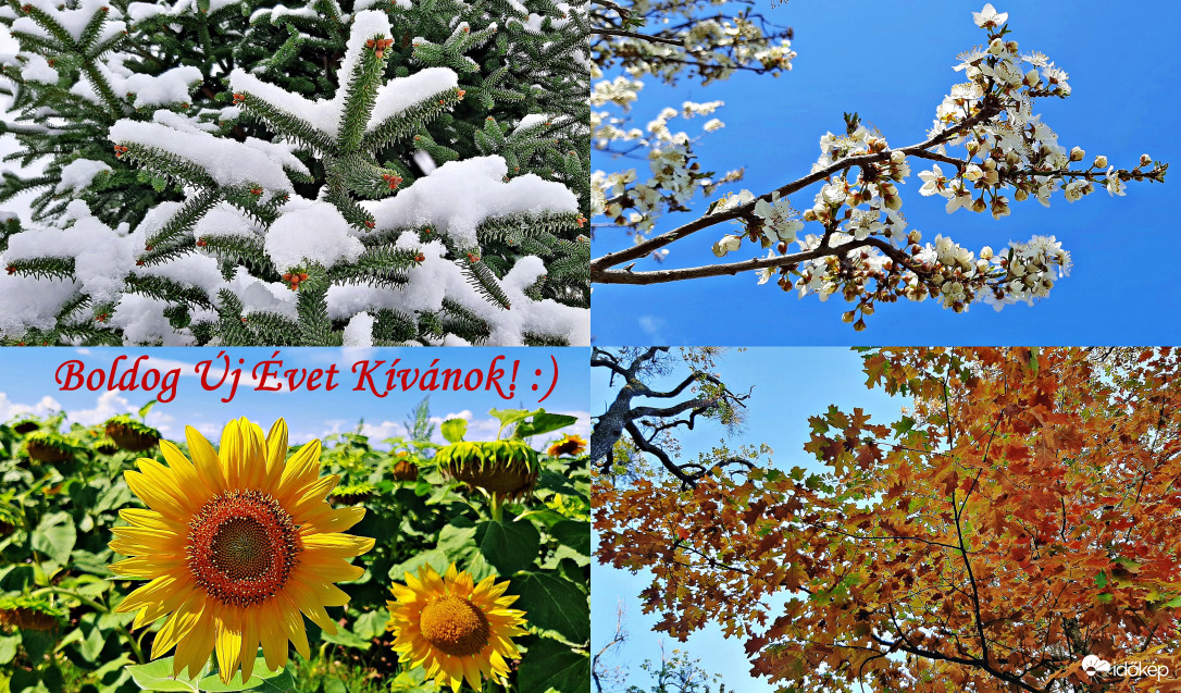 Nagyon Boldog Új Esztendőt Kívánok minden kedves Észlelőtársamnak és az Időkép Csapatának! :)