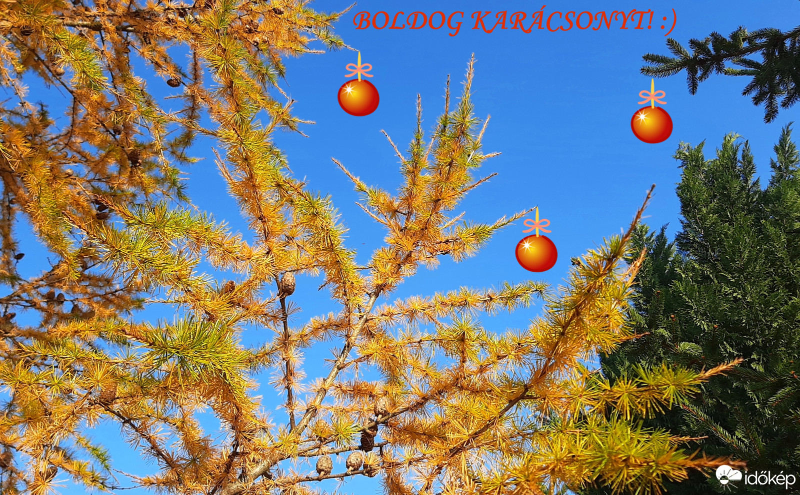 Boldog Karácsonyt Mindenkinek! :)