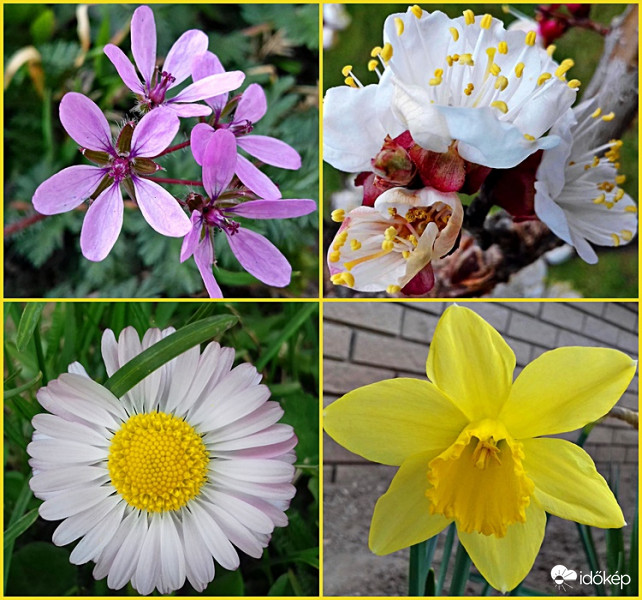 Szépségek a télies fordulat előtt 2. :)