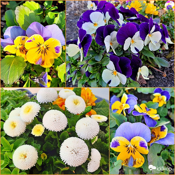 Színkavalkád szürkeség ellen :)