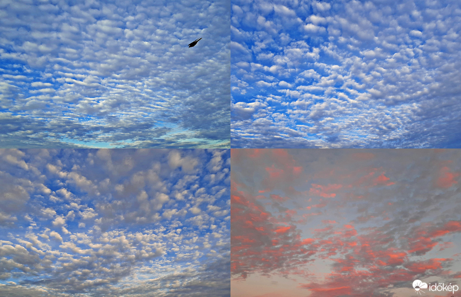 Felhőformációk még novemberből + 1 "berepülő"! :)